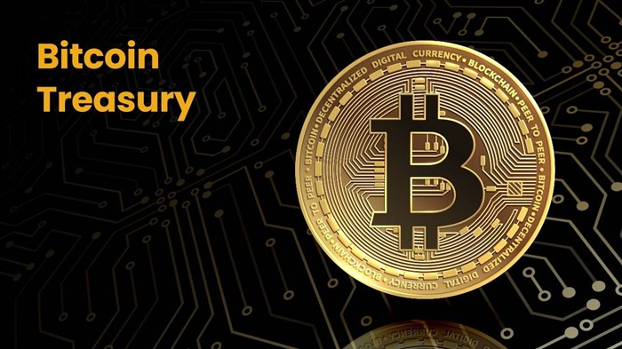 Bitcoin Treasury Corporation