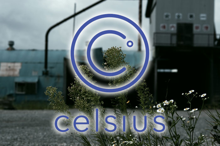 Celsius network bankrupt